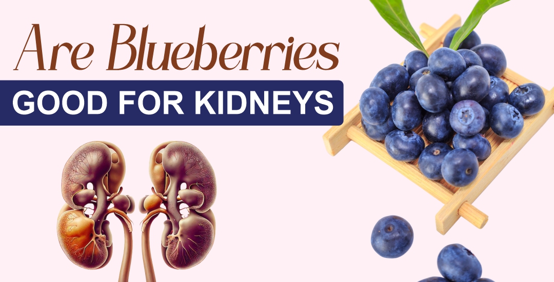 Are Blueberries Good for Kidneys? Benefits for CKD Patients